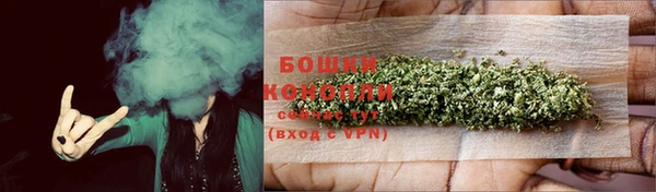 гидра Вязники