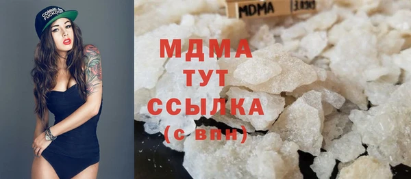 прущие грибы Вяземский