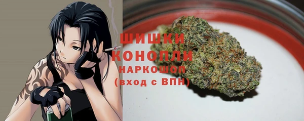 прущие грибы Вяземский