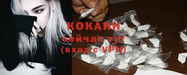 гидра Вязники