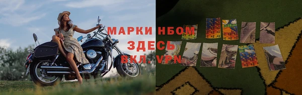 гидра Вязники