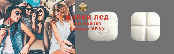 прущие грибы Вяземский