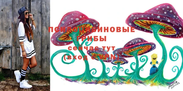 эйфоретик Вязьма