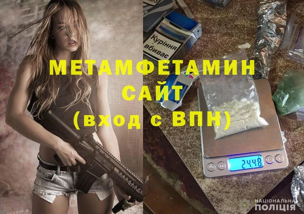 прущие грибы Вяземский