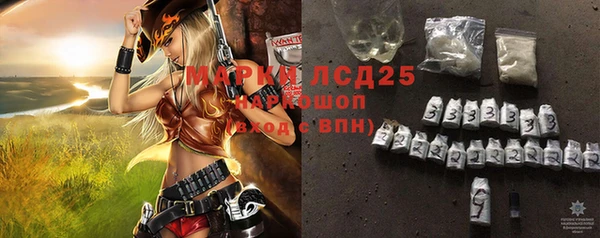прущие грибы Вяземский