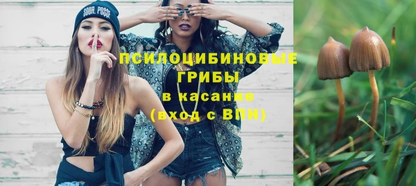 прущие грибы Вяземский