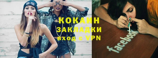 прущие грибы Вяземский
