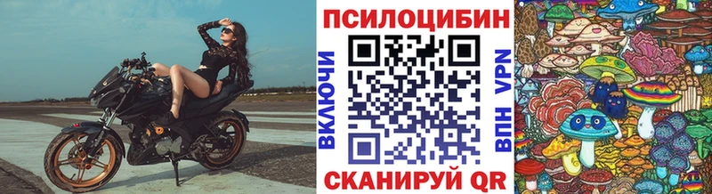 Купить где  Артёмовск  Псилоцибиновые грибы ЛСД 